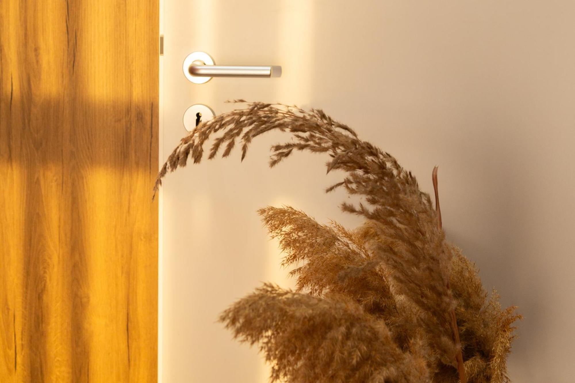 Art Vista Apartment تيرانا المظهر الخارجي الصورة